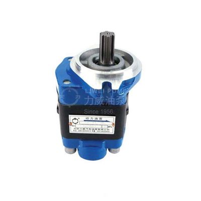 Original Forklift Hydraulic Pump Gear For FD20-30T3CS-A/CA490 SGP1A32D2HH1-L025C